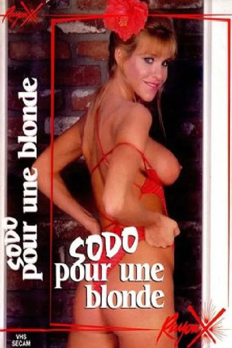 La grande jouissance de Pamela poster background