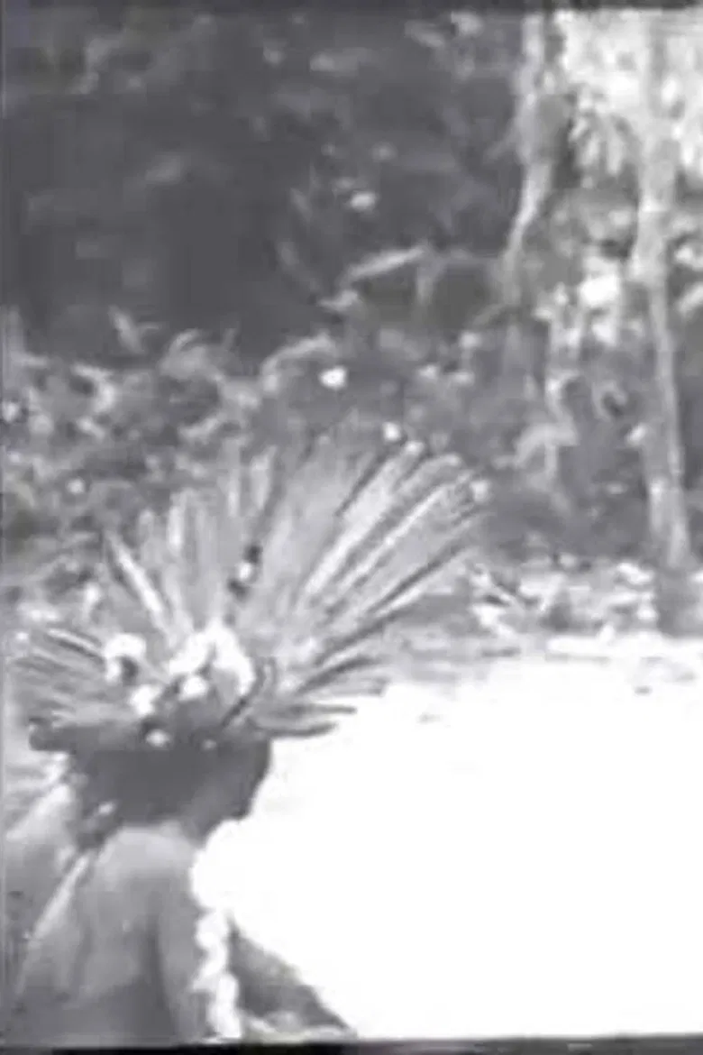 Cerimônias Fúnebres entre os Índios Bororo poster background