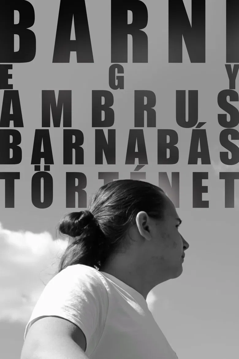 BARNI: A Barnabás Ambrus Story poster background
