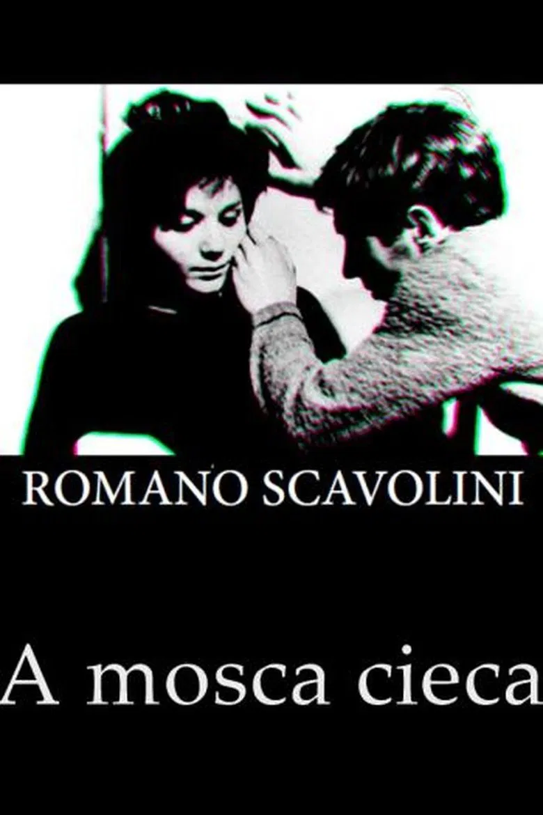 The Blind Fly poster background