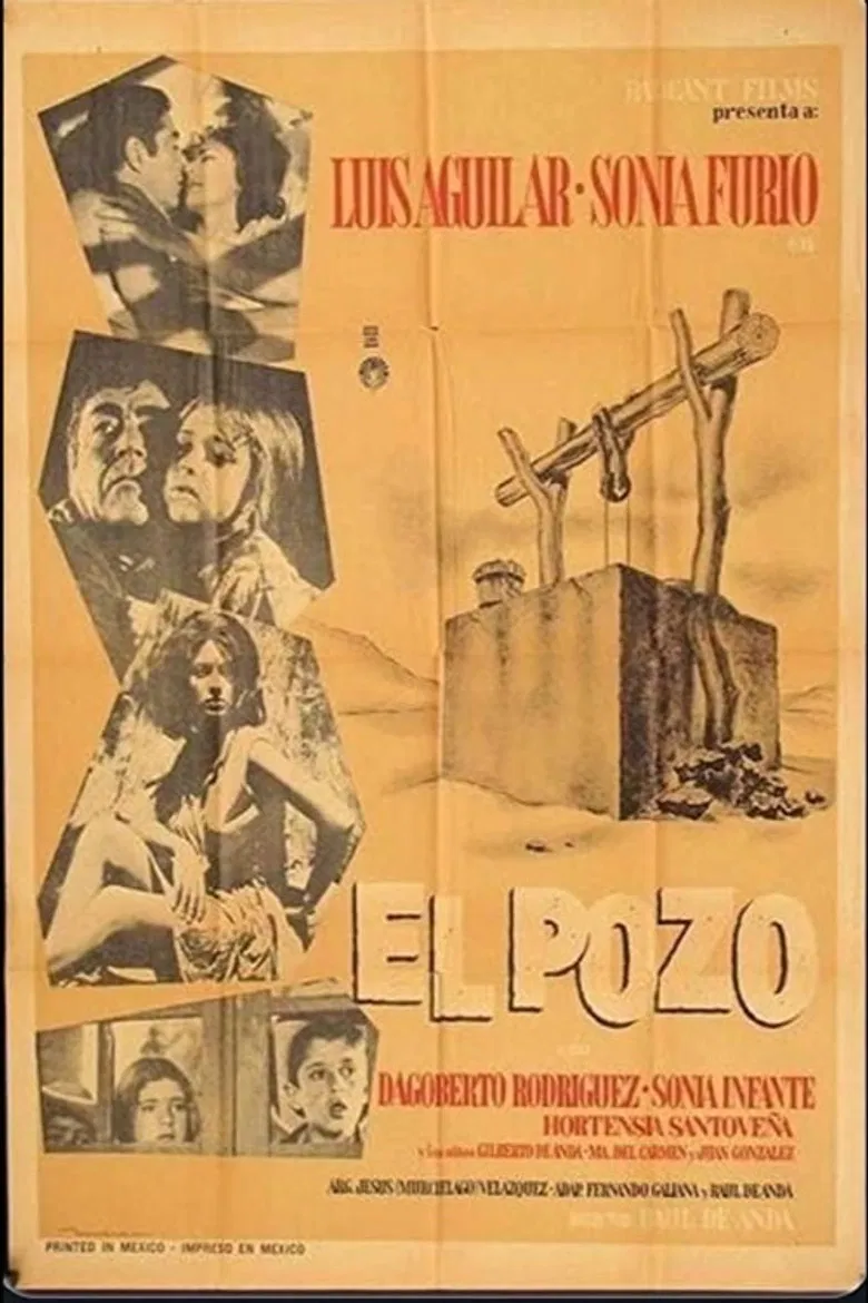 El pozo poster background