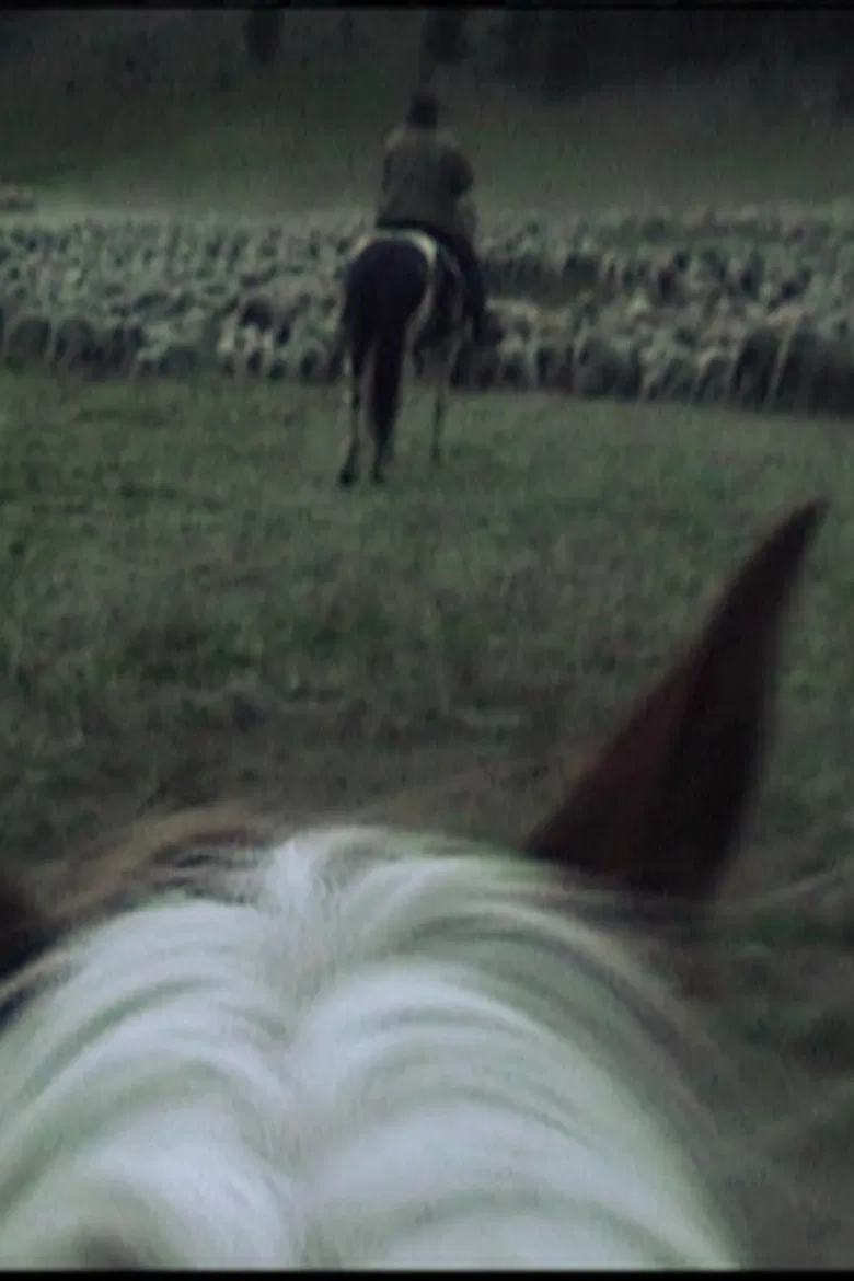 Bedding Down poster background