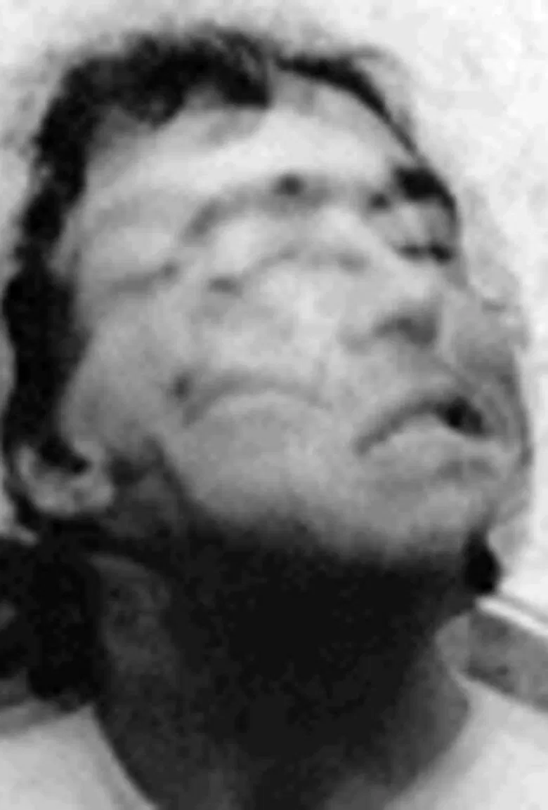 Twitch and Shout poster background