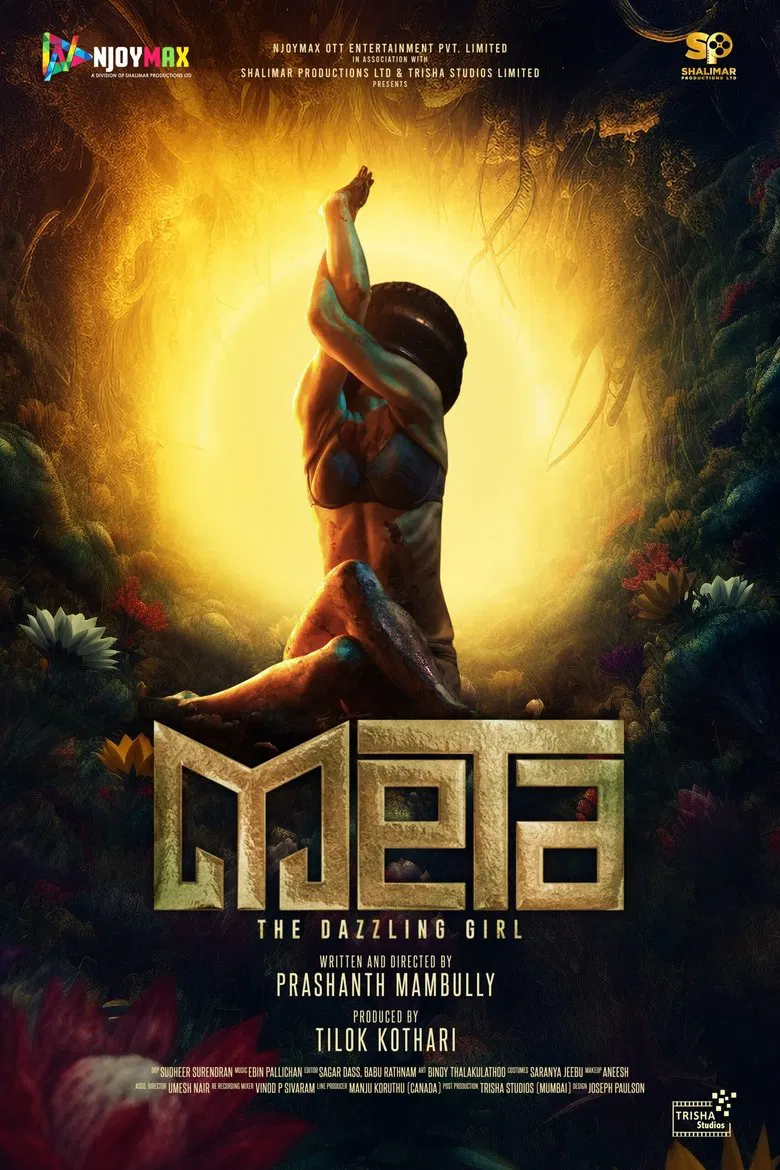 Meta: The Dazzling Girl poster background