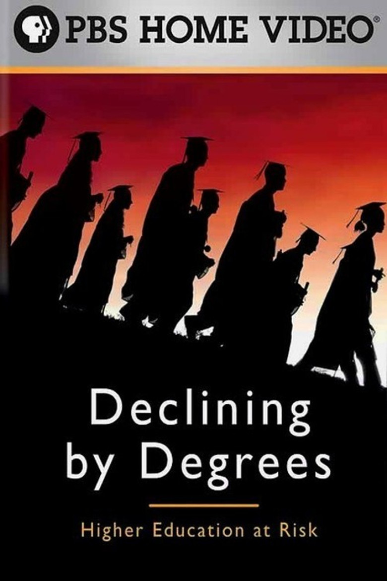 Declining by Degrees: Higher Education at Risk poster background
