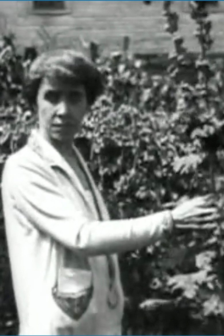 Visitin' 'round at Coolidge Corners poster background