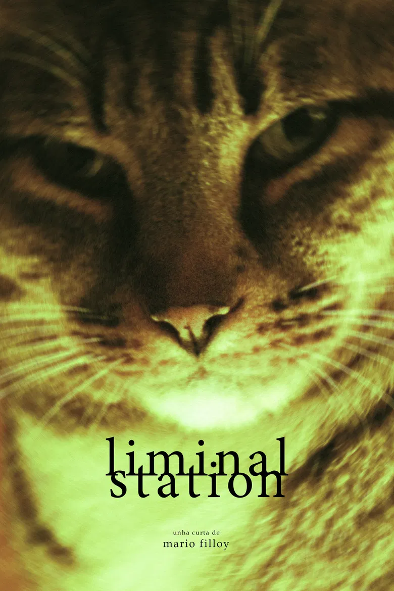 Liminal Station poster background