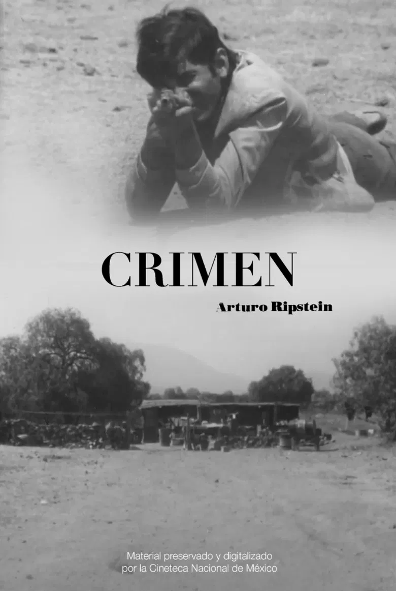 Crimen poster background