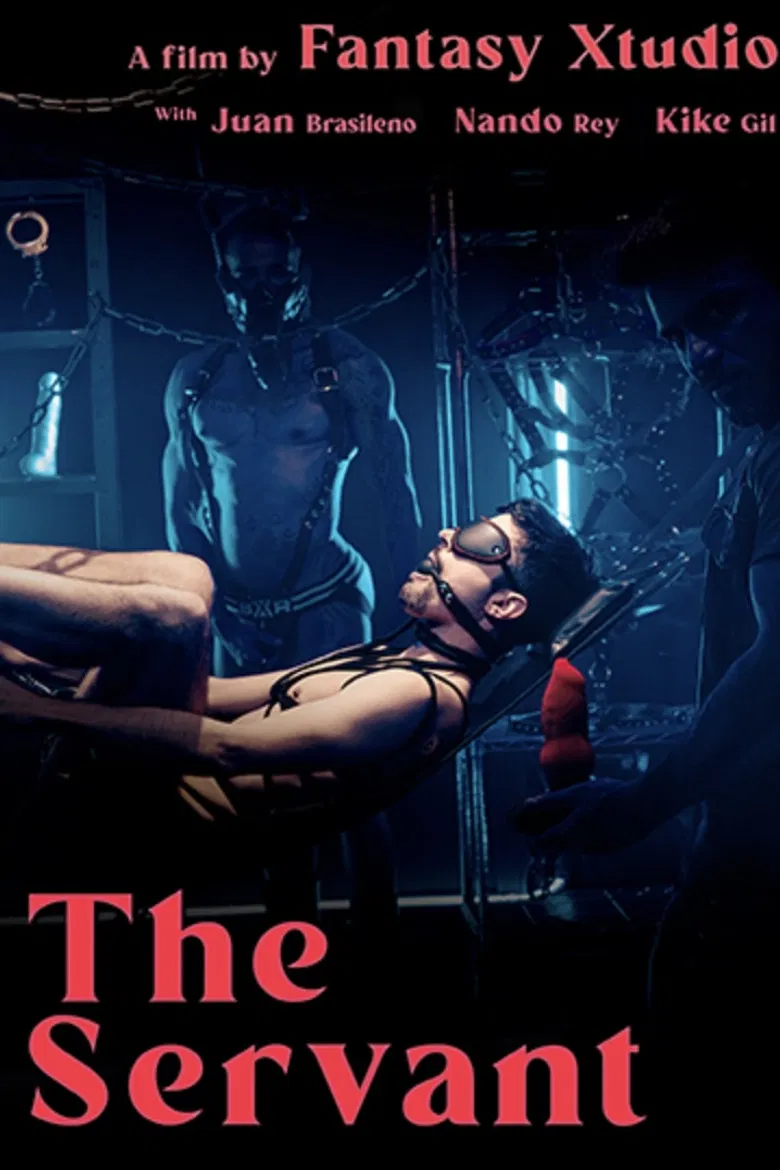 The Servant poster background