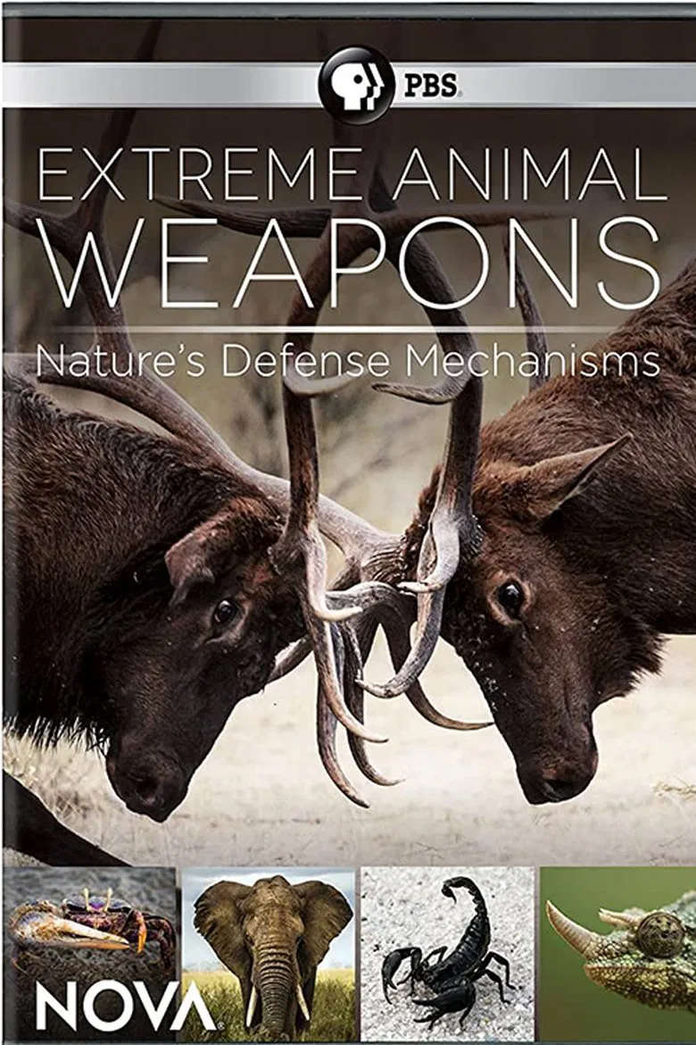 Extreme Animal Weapons poster background