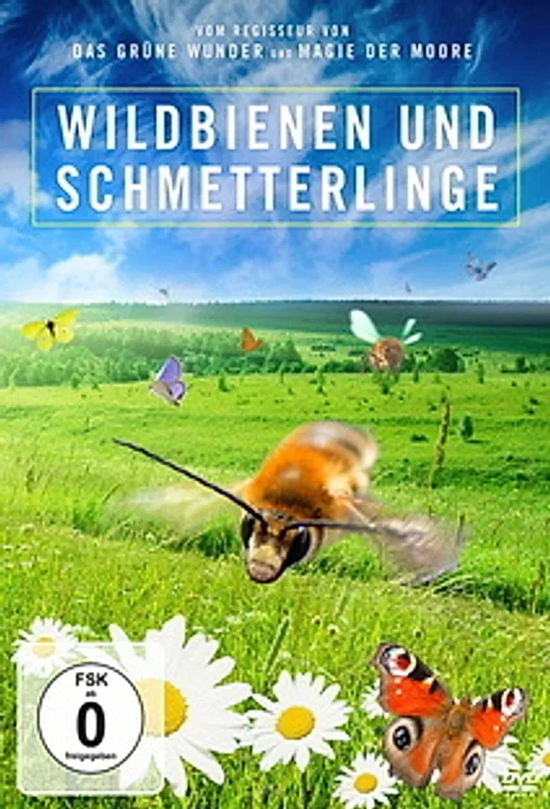 Kinder der Sonne - Unsere Schmetterlinge poster background