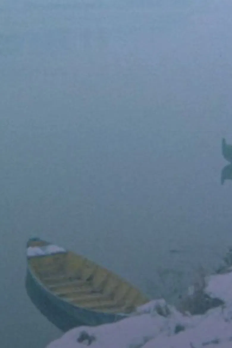 La Grande Adozione di Lodi poster background