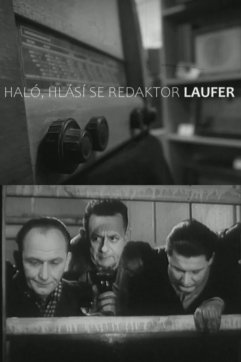 Haló, hlásí se redaktor Laufer! poster background