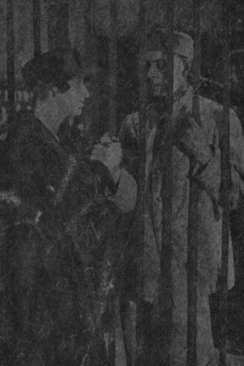 The Backdrop Of Happiness poster background