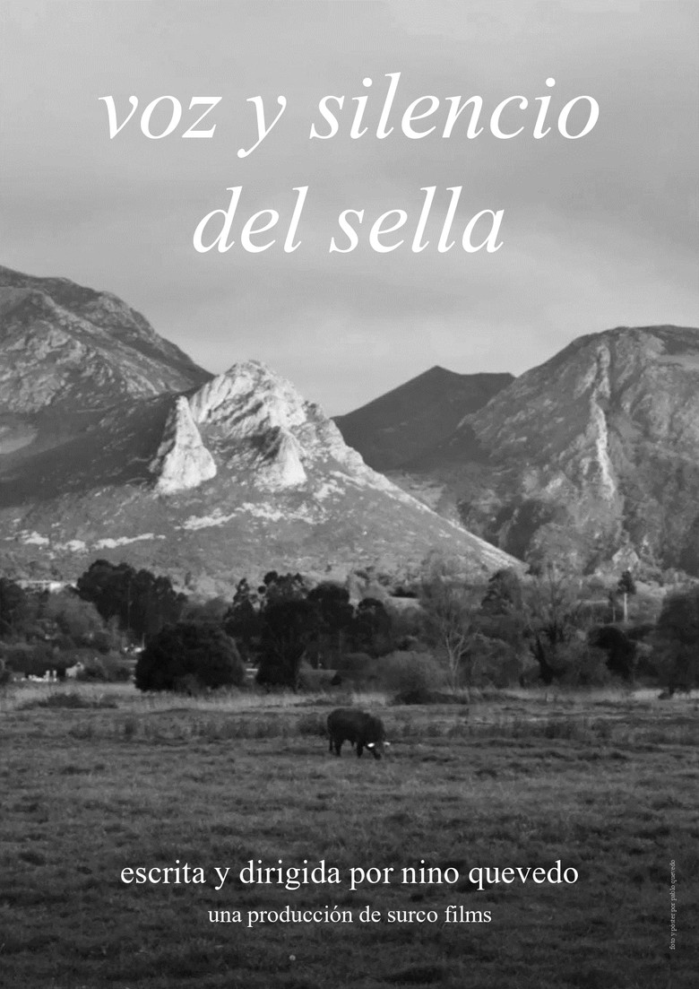 Voice and silence of the Sella poster background