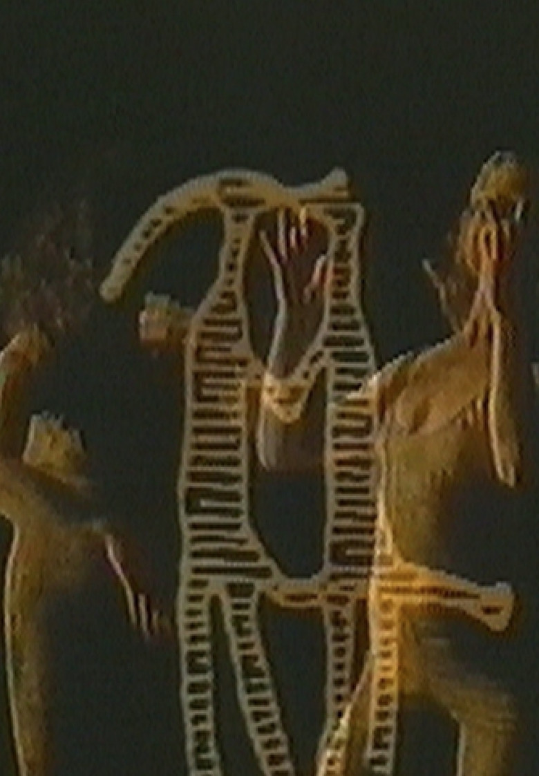 The Duality of Nature poster background