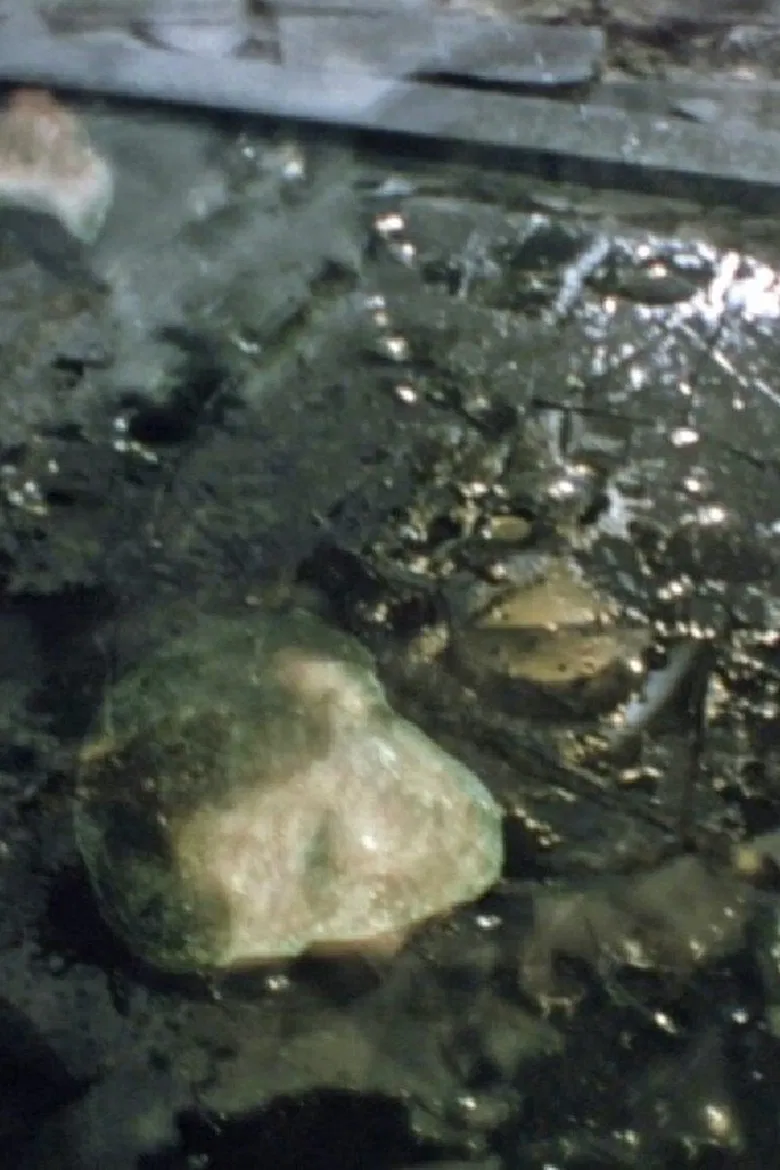 Faces of Death poster background