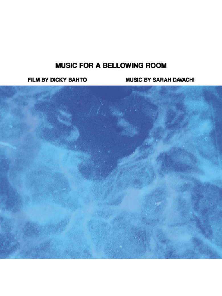 Music For A Bellowing Room poster background