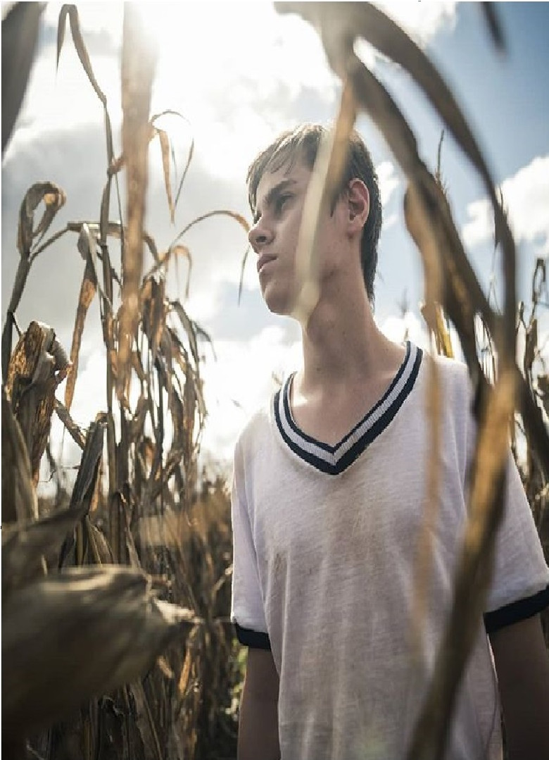 ORODETOLO poster background