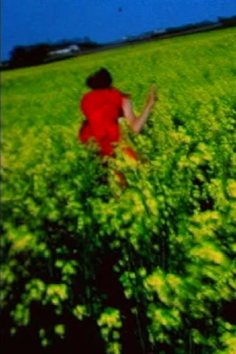 Nirona poster background