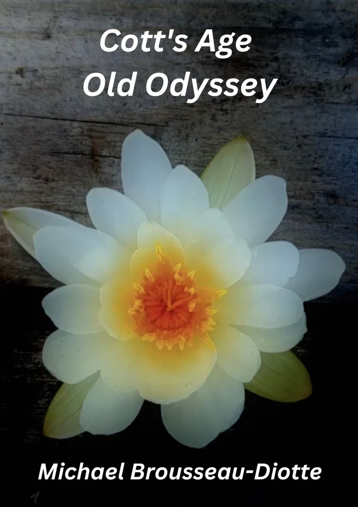 Cott's Age Old Odyssey poster background
