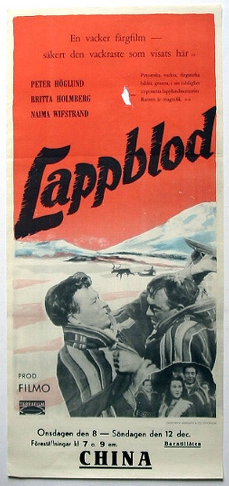Lappblod poster background