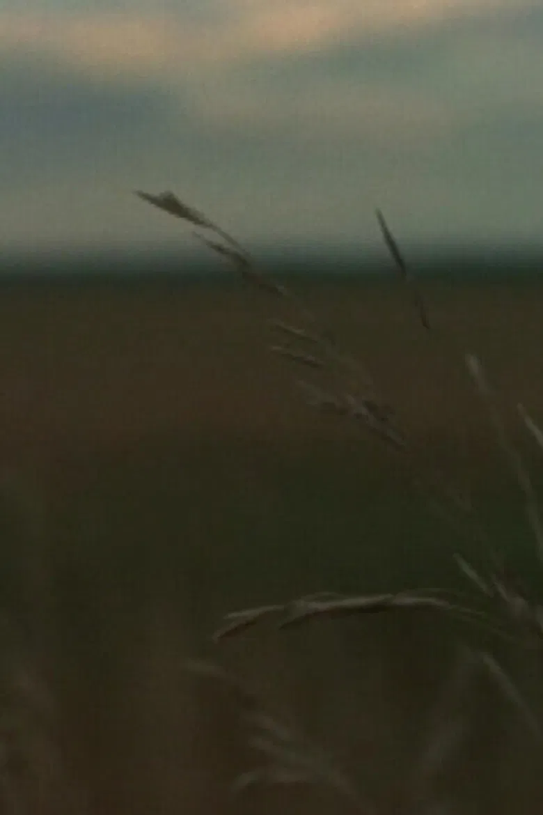 Around Sanford poster background