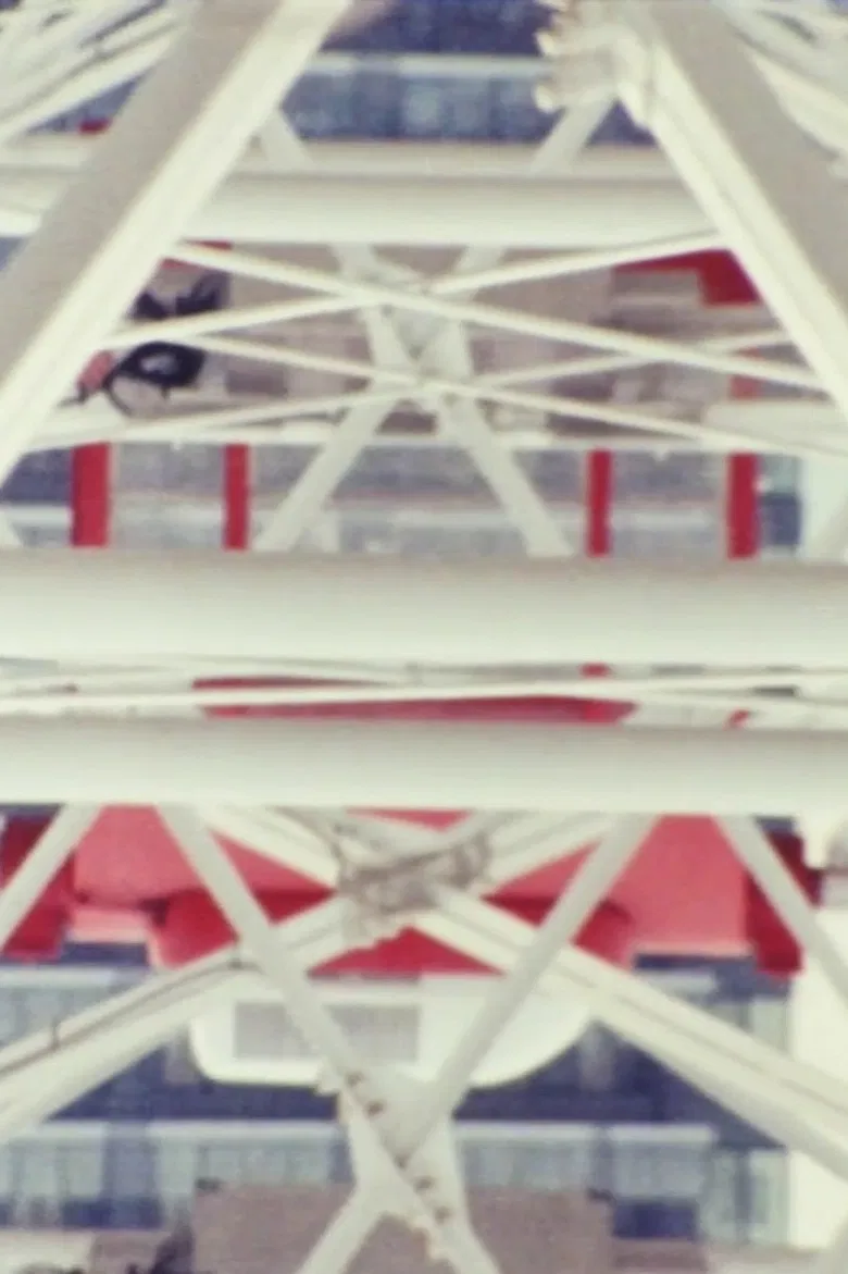 Amusement Ride poster background