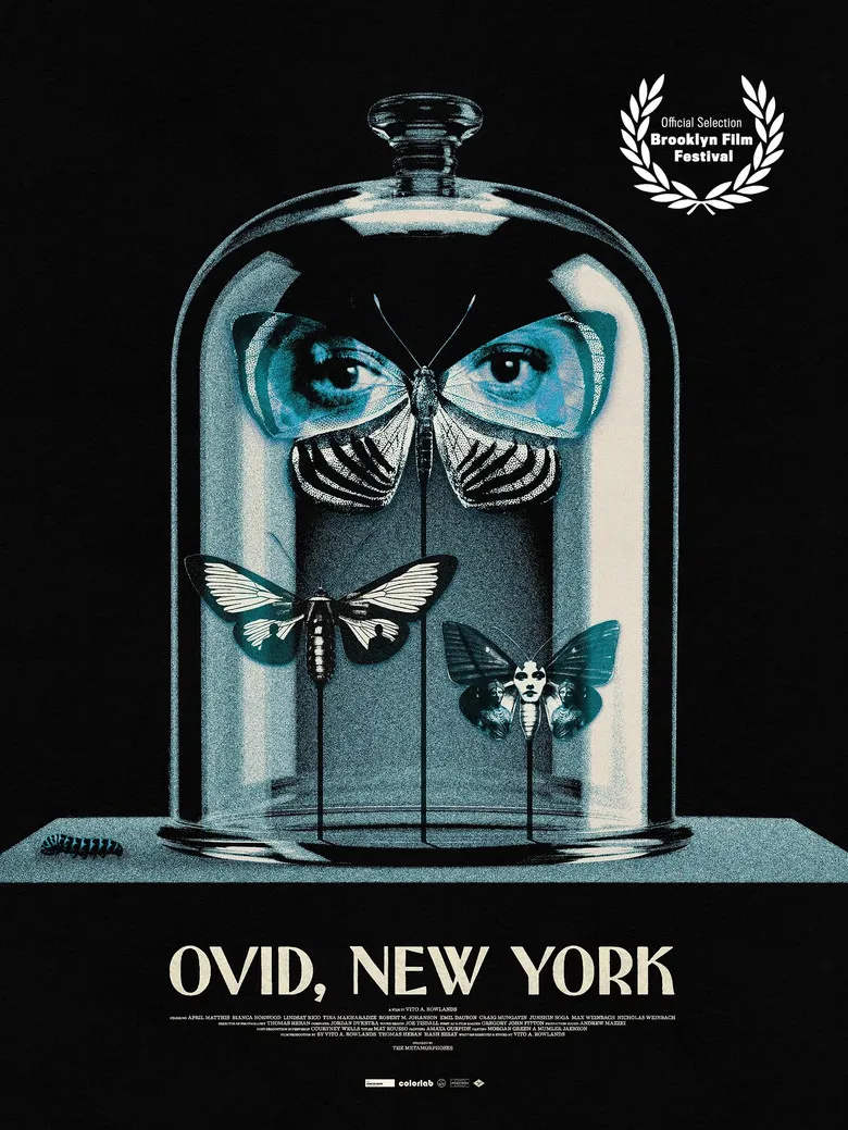 Ovid, New York poster background