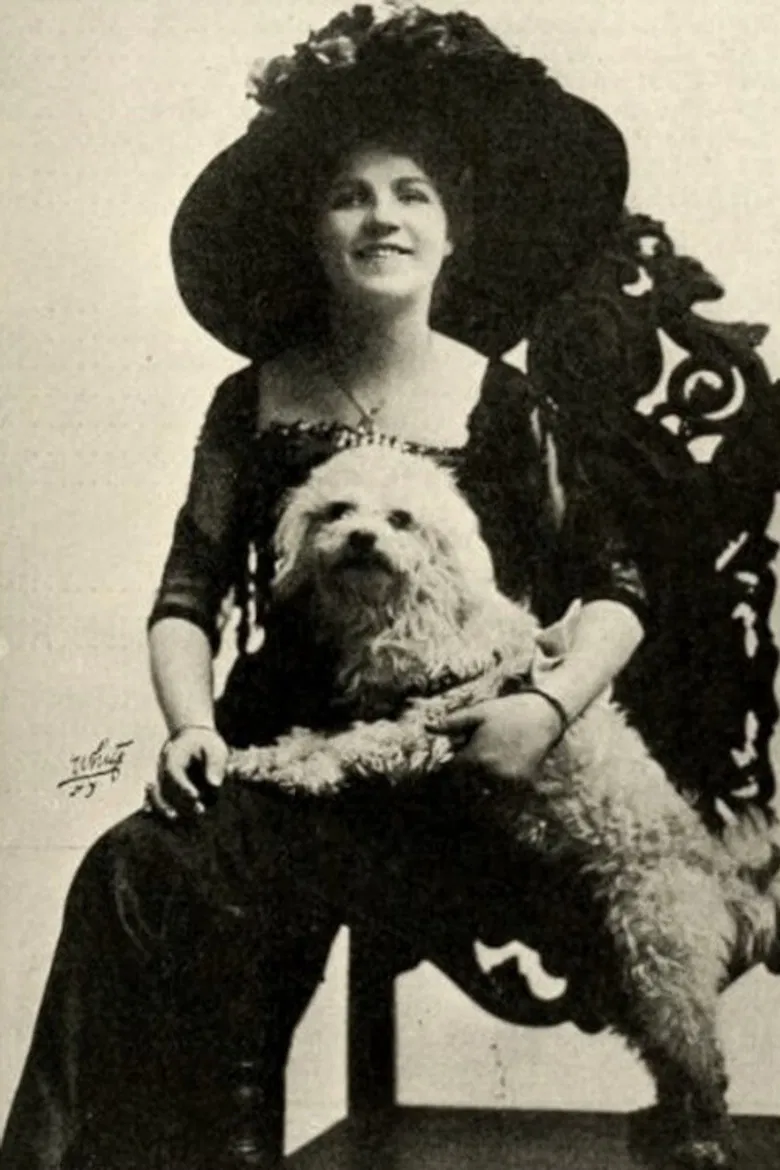 The Rose's Story poster background