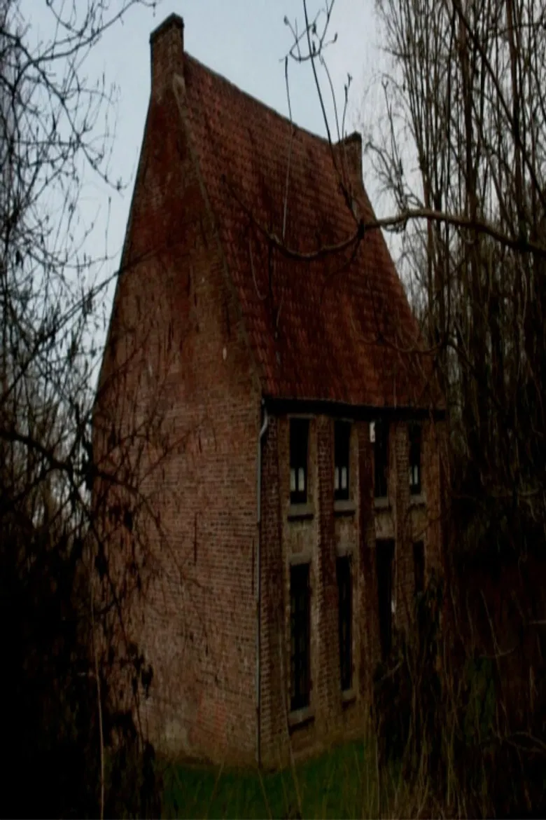From Vincent's House in the Borinage poster background