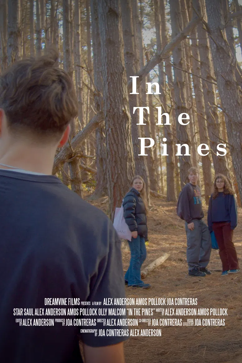 In The Pines poster background