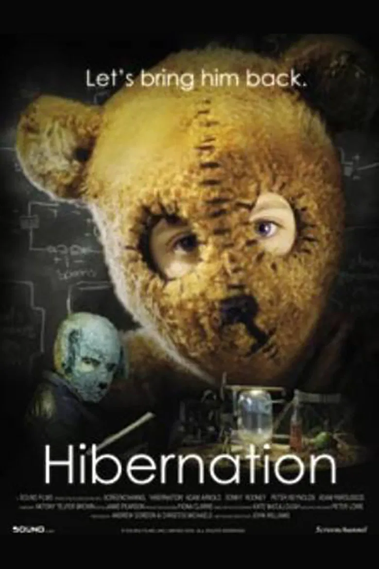 Hibernation poster background