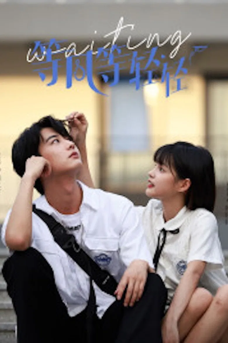 等风等轻轻 poster background