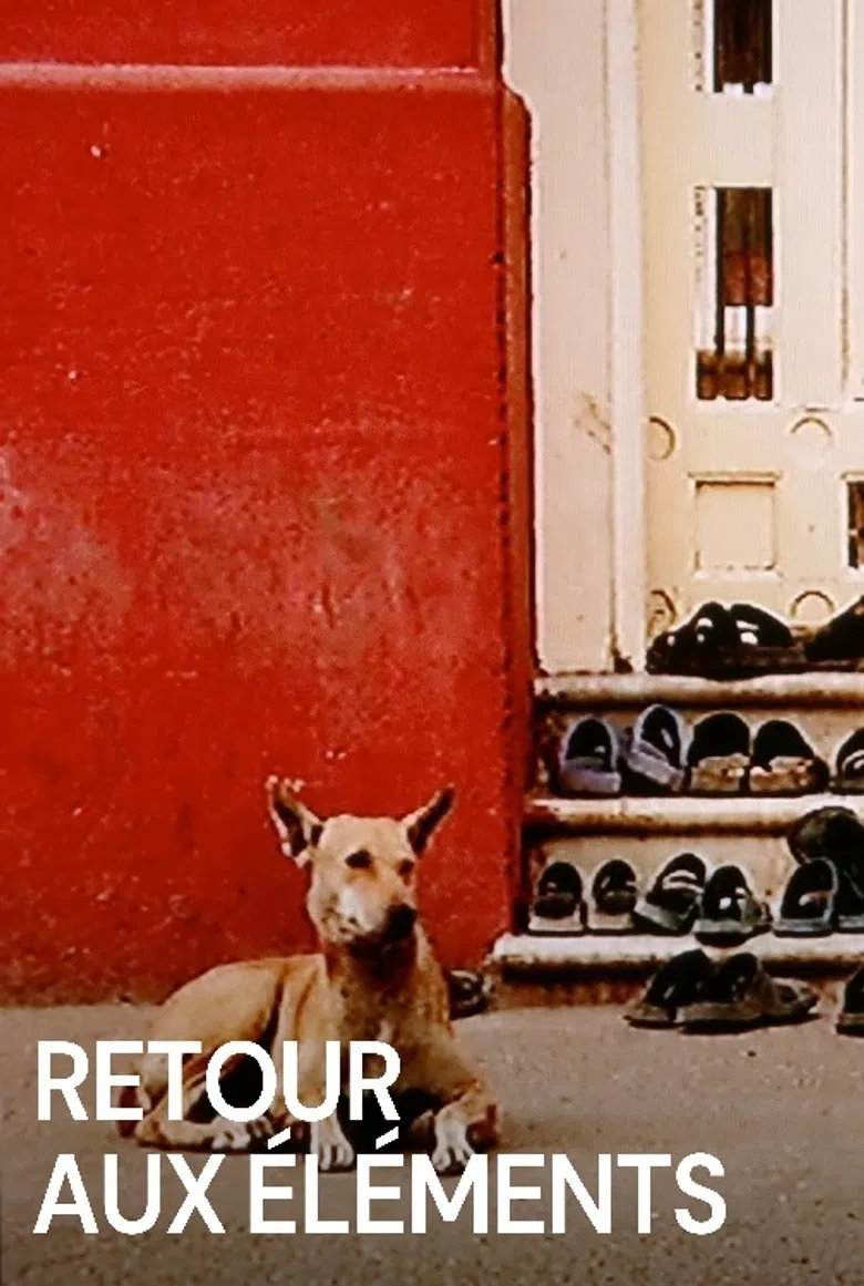 Back to the Elements poster background