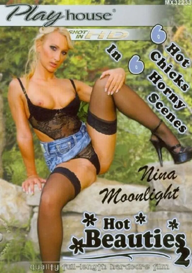 Hot Beauties 2 poster background