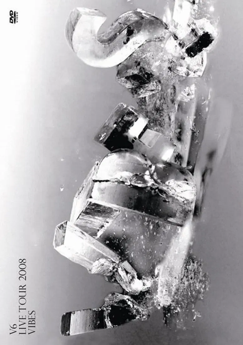 V6 LIVE TOUR 2008 VIBES poster background