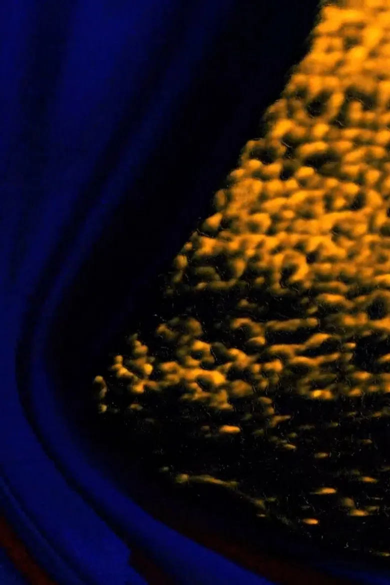 Pangloss poster background