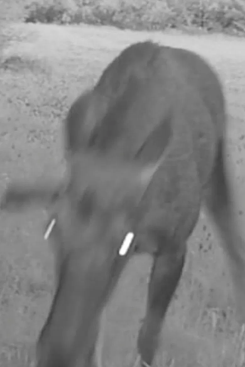 Cracking Sound poster background