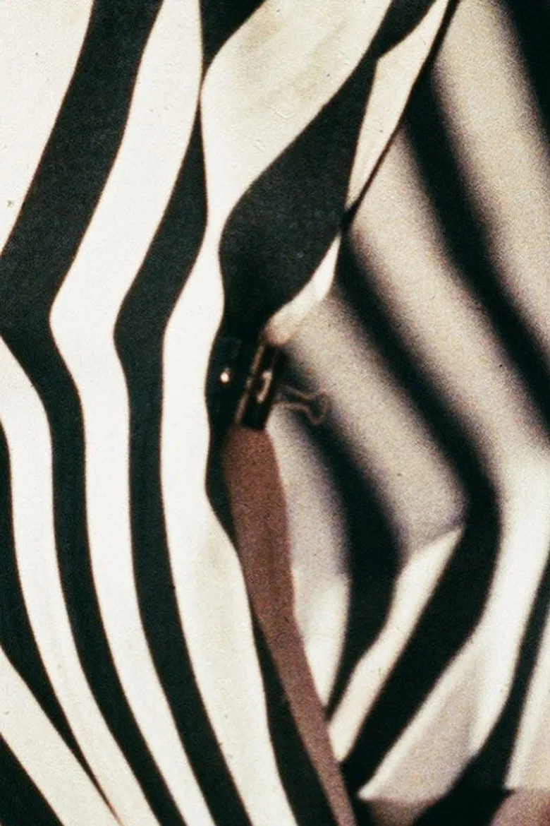 La mia Camera poster background