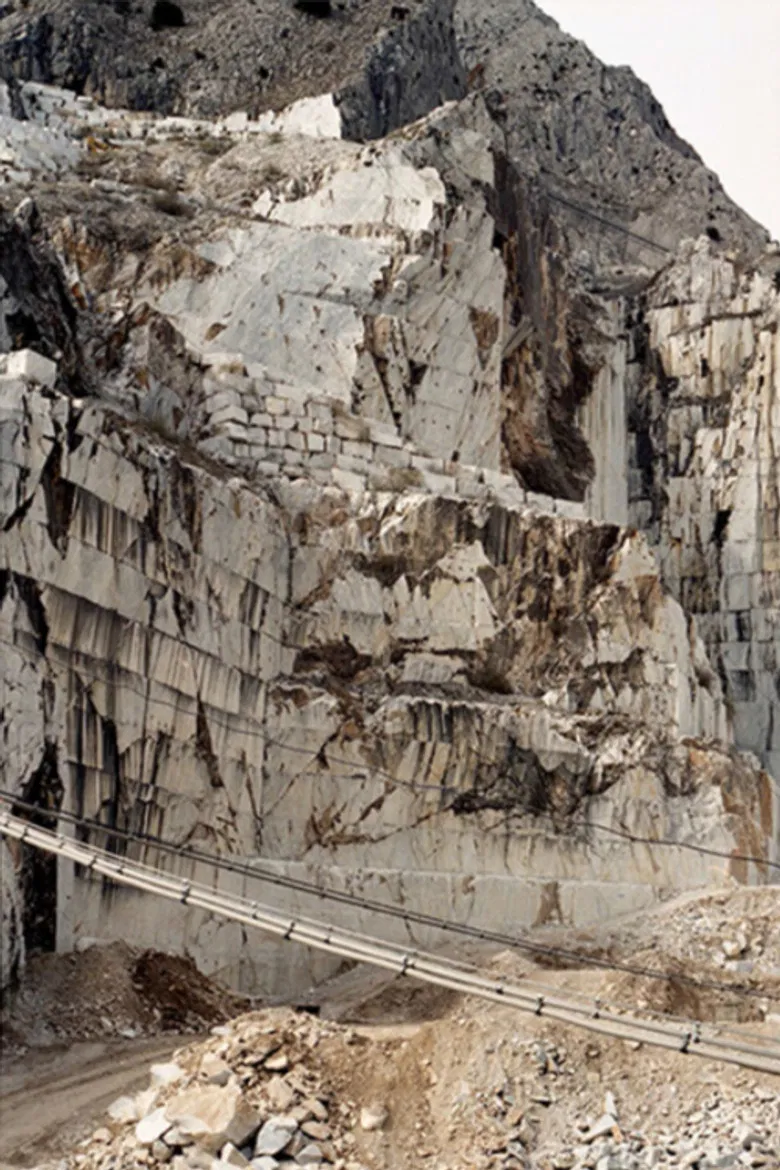 Blossoms and fruits at once poster background