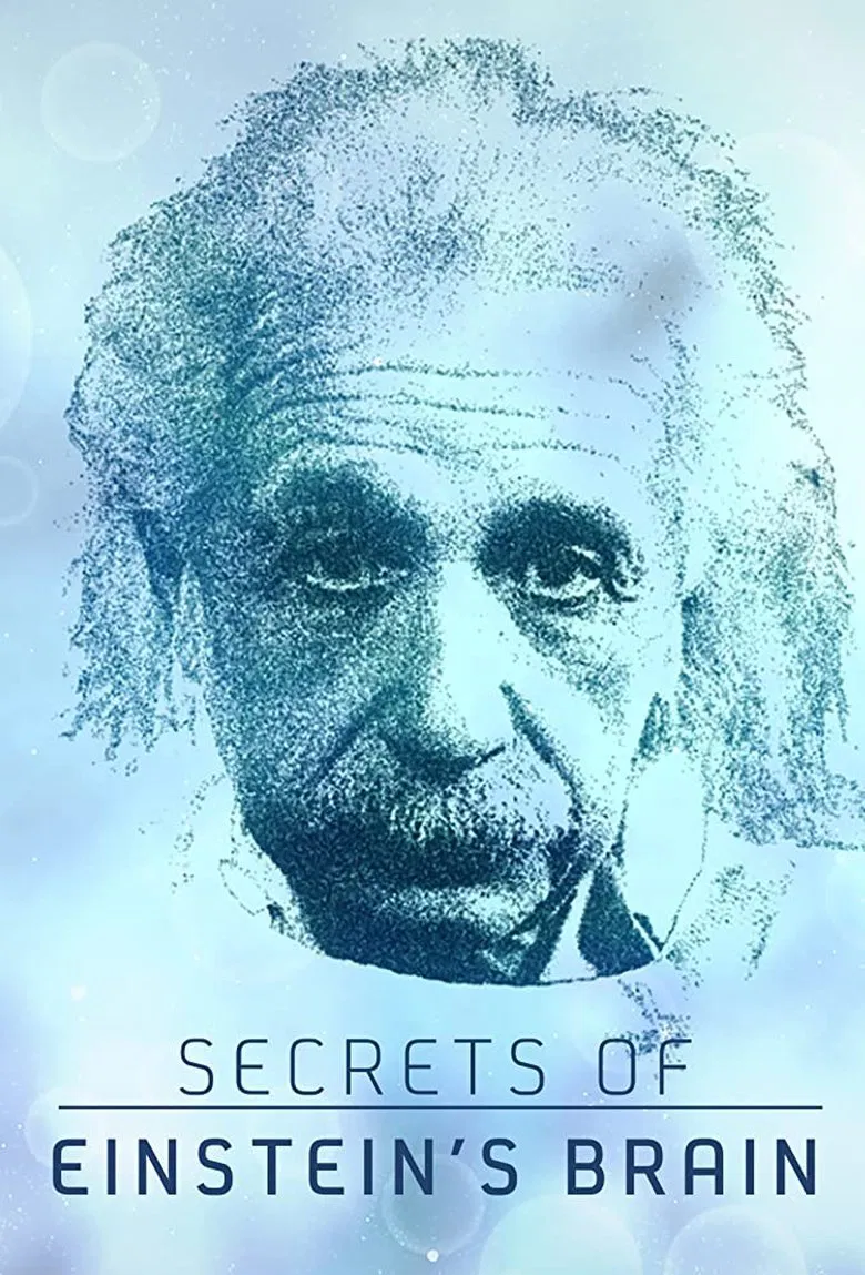 Secrets of Einstein's Brain poster background