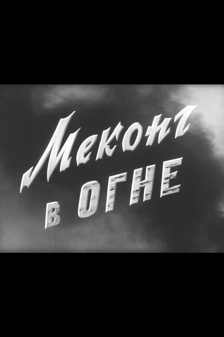 Mekong in Flames poster background