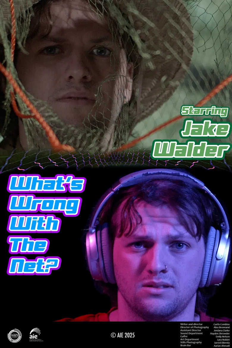 What's Wrong with the Net? poster background