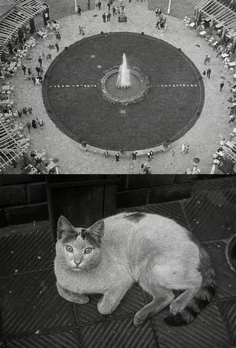 Berlin Still-Life poster background