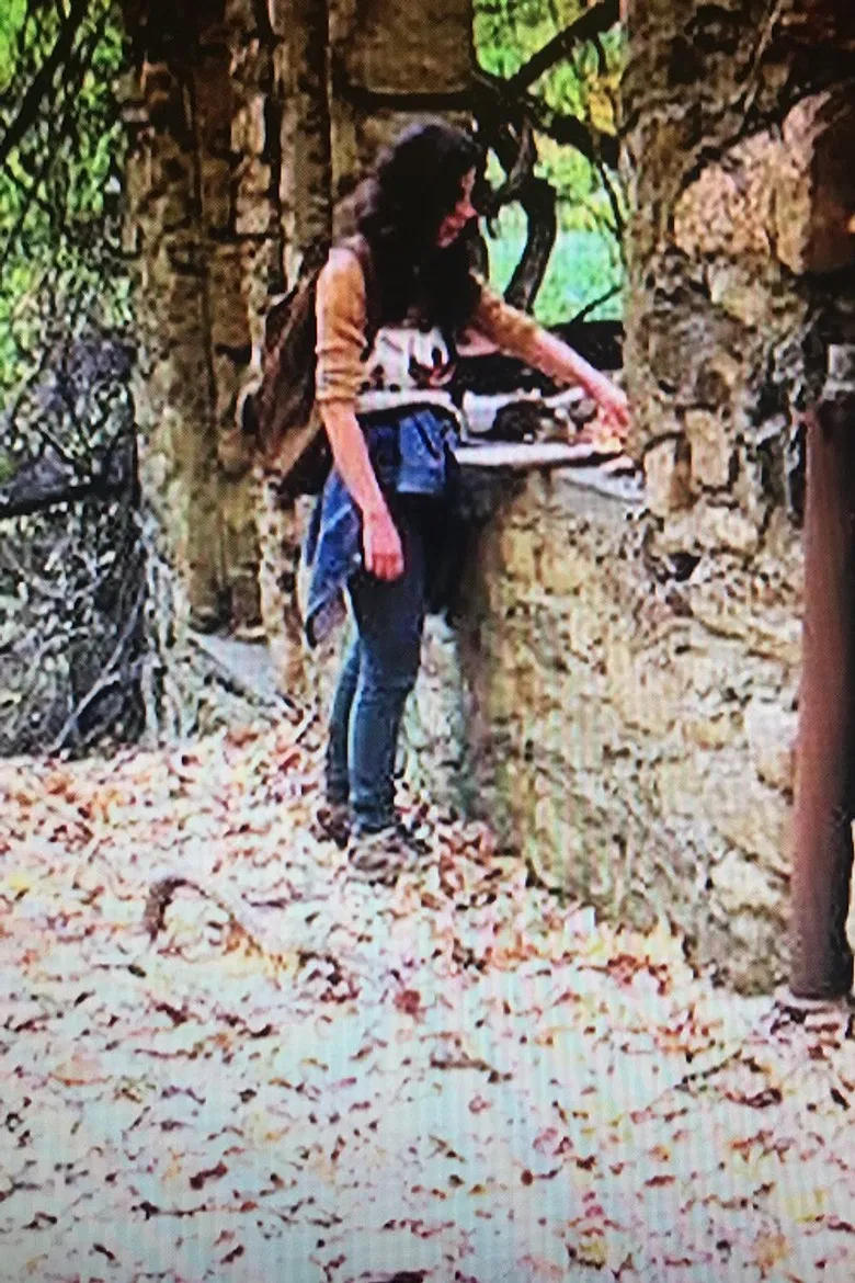 Late Spring/Regrets For Our Youth poster background