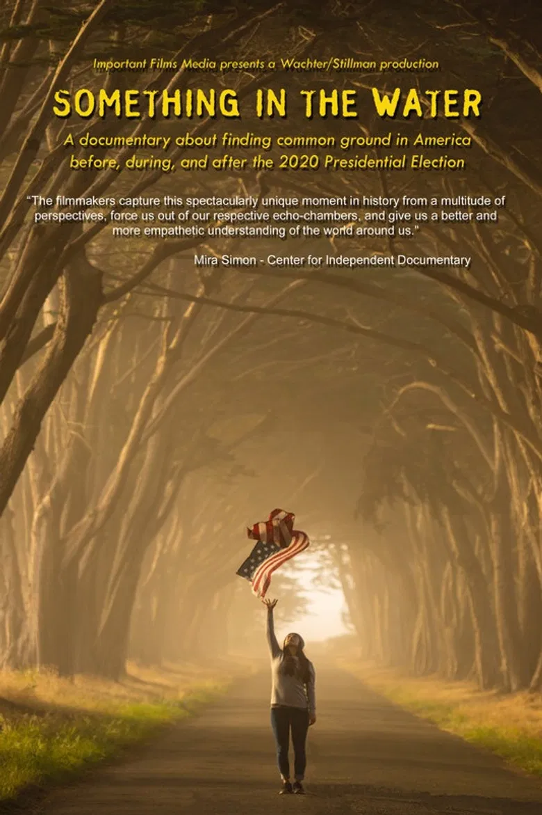 Something in the Water poster background