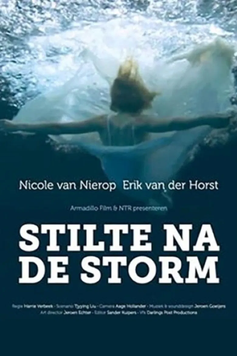 Stilte na de storm poster background