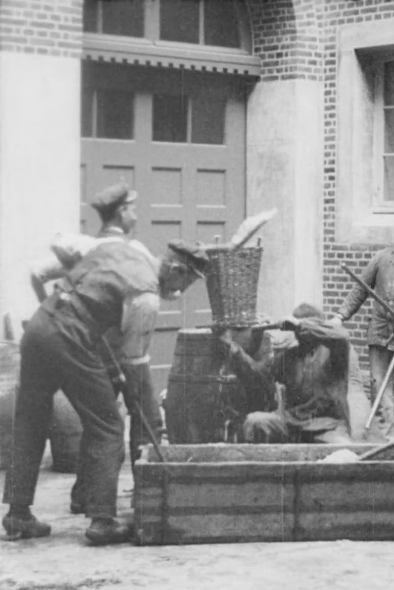 Linotol Comp. poster background