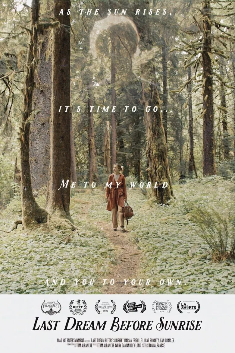 Last Dream Before Sunrise poster background